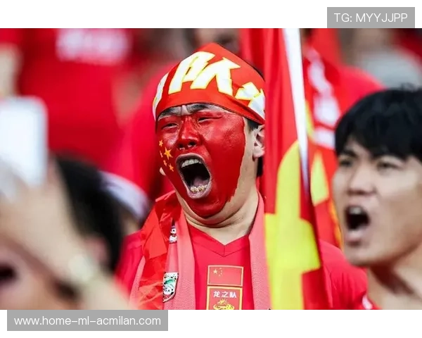 塞鸟或续留国安:谁能成就中国足球的未来之星? 塞鸟或续留国安:谁能成就中国足球的未来之星?