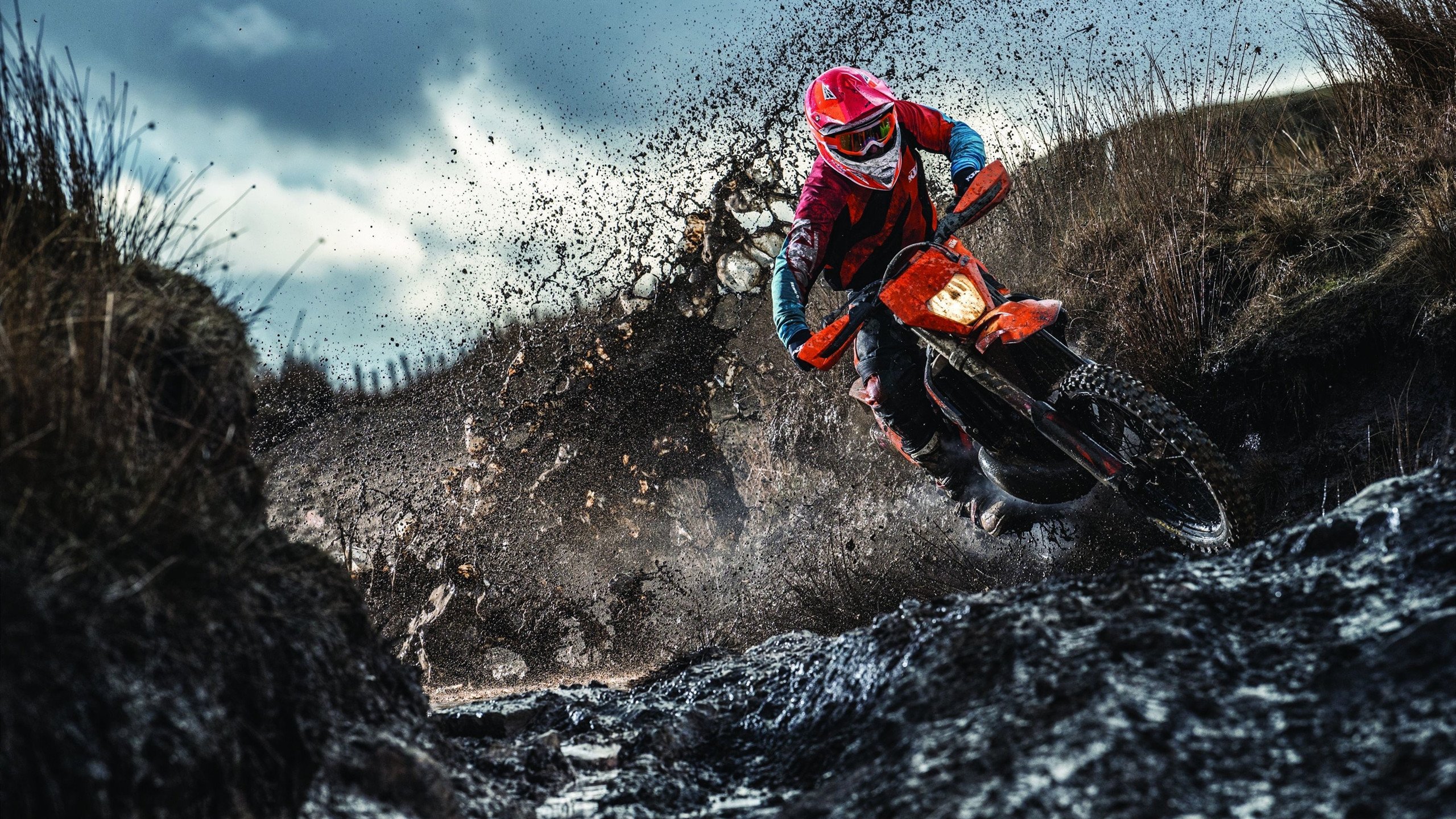 “龙舟赛畅快激情，天府新区迎来速度与力量的较量”